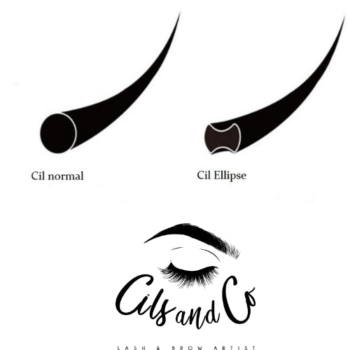 Extensions de Cils Ellipse